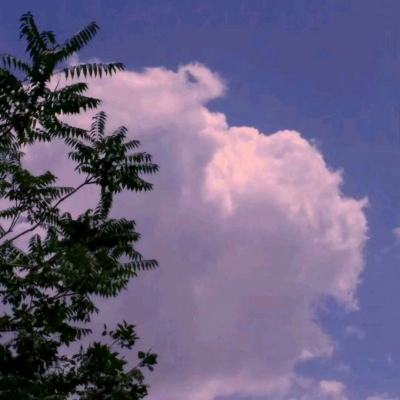 yabo官网网页版app下载